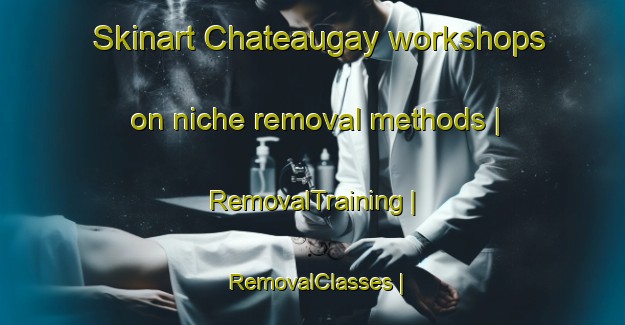 Skinart Chateaugay workshops on niche removal methods | RemovalTraining | RemovalClasses | SkinartTraining-United States
